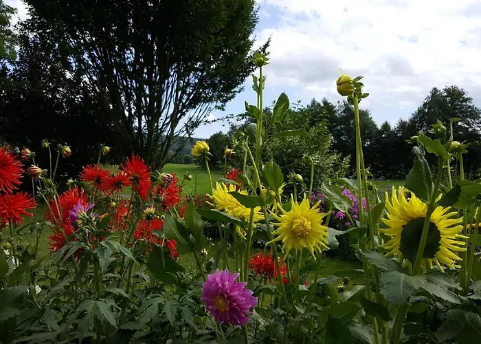 Mahlertsmuehle Hofbieber